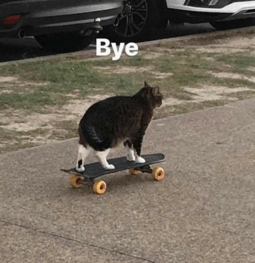 PHOTO Cat Riding A Skateboard Bye Meme