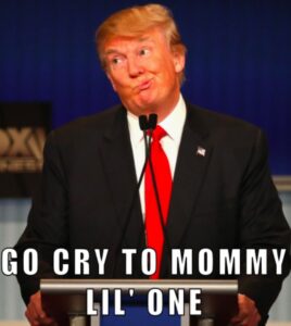 PHOTO Go Cry To Mommy Lil One Donald Trump Meme