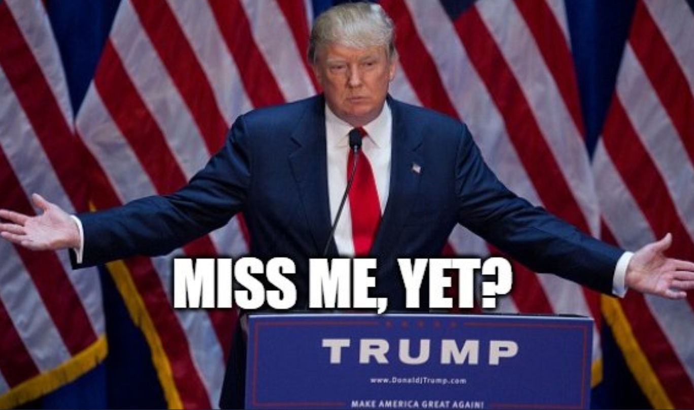 PHOTO Miss Me Yet Donald Trump Meme