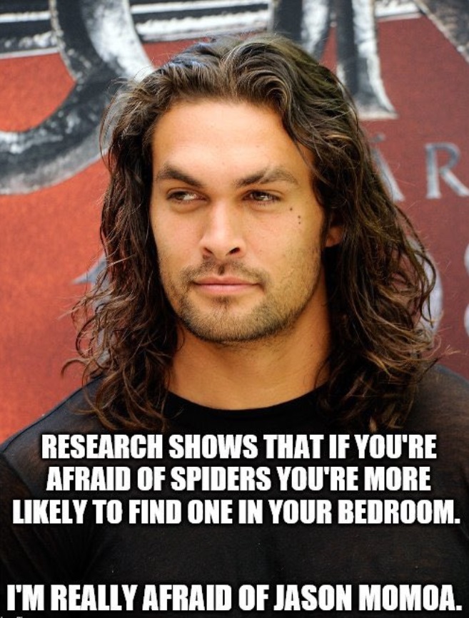 PHOTO Research Shows That If You're Afraid of Spiders You're More Likely To Find One In Your Bedroom I'm Really Afraid Of Jason Momoa Meme