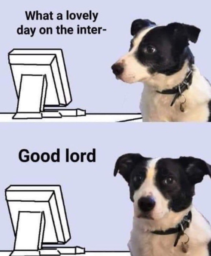 PHOTO What A Lovely Day On The Internet Good Lord Dog Meme