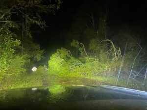 PHOTO All Roads In McClain Mississippi Are Blocked By Trees And Will Need To be Cleared