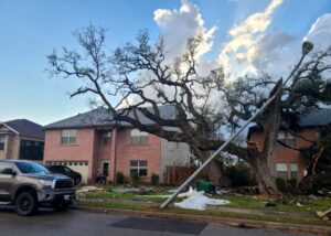 PHOTO Damage To Forest Bluff Trail Area Of Round Rock