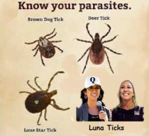 PHOTO Know Your Parasites Lauren Boebert Luna Ticks Meme