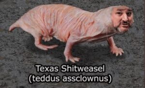 PHOTO Ted Cruz Texas Sh*tweasel Animal Meme