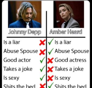 PHOTO Amber Heard Is A Liar Abused Spouse And Shts The Bed Checkmark Vs Johnny Depp Meme