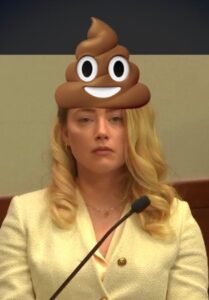 PHOTO Amber Heard Looking Like A Hurt Bae With A Giant Smiling Turd On Her Head Meme
