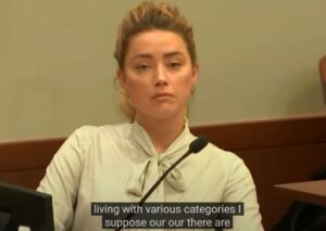 PHOTO Amber Heard Making Evil Face While Johnny Depp Reveals To The Court How Much She Abused Him