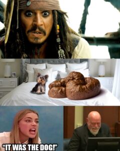 PHOTO Captain Jack Sparrow's Face After Amber Heard Said It Was The Dog's Poop On The Bed Not Hers Meme