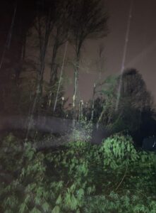 PHOTO Landscaping Outside Homes In Cedar Glen Neighborhood Off Cedar Creek Road In Louisville Is Ruined And Roads Are Blocked 