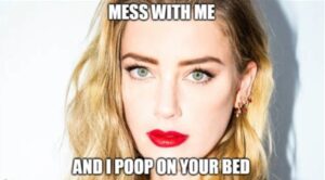 PHOTO Mess With me And I Poop On Your Bed Amber Heard Meme