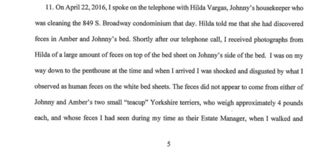 PHOTO Proof From Cleaner Johnny Depp Hired That Amber Heard Left Fecal