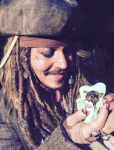 PHOTO Proof Johnny Depp Is A Loving Person Here's Him Holding A Baby Bat Gently In His Hands