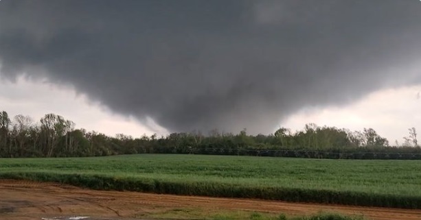 PHOTO Tornado Gained Huge Momentum Over Farm Field In Allendale South ...