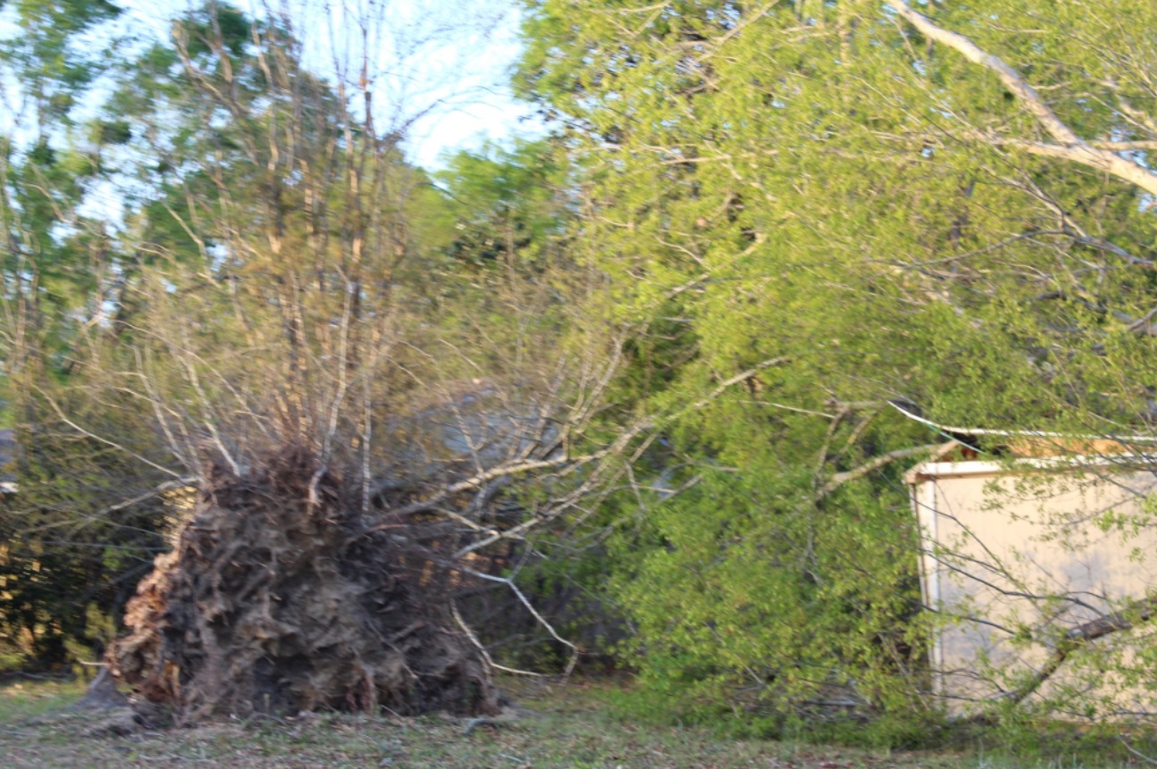 PHOTO Weather Channels In Florida Have Been Overlooking The Extent Of