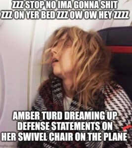 PHOTO Amber Heard Dreaming Up Defense Statements On Her Swivel Chair On The Plane Meme