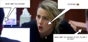 PHOTO Amber Heard Pooping In Court Lawyer Asks What Are You Going To Do Fling It At Him Meme