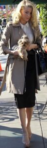 PHOTO Amber Heard Walking Around Hollywood Holding Her Teacup Dog