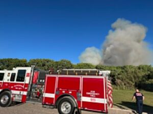 PHOTO Fire Crews In Albuquerque Are Having Trouble Containing Fire In Dry Brush Of Bosque Area After Its Already Spread Over 5 Acres