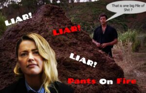 PHOTO Liar Liar Pants On Fire This Is One Big Pile Of Sh*t Amber Heard Meme