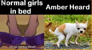 PHOTO Normal Girls In Bed Vs Amber Heard meme