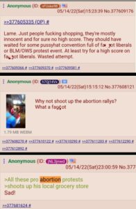 PHOTO Payton Gendron's Friends On 4Chan Are Upset He Went To Grocery Store To Commit Mass Murder Instead Of A Pro-Choice Rally