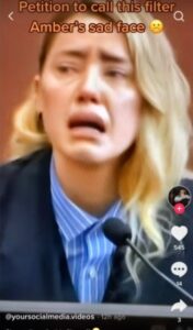 PHOTO Petition To Call This Filter Amber Heard's Sad Face Meme