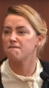 PHOTO The Face Amber Heard Makes When She's Shtting On Johnny's Bed