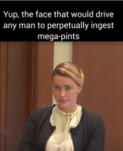 PHOTO Yup The Face That Would Drive Any Man To Perpetually Ingest Mega-Pints Amber Heard Meme