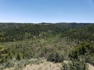 PHOTO 2 Mile Stretch Of Indian Canyon In Duchesne County Utah Completely Leveled By Powerful EF2 Tornado