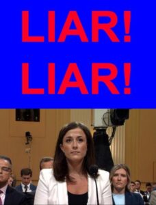 PHOTO Liz Cheney Liar Liar Meme