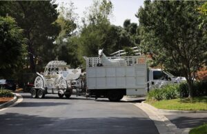 PHOTO Of Horse Carriage Britney Spears’ Rented To Ride In During Her Wedding