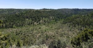 PHOTO Tornado Destroyed Acres Of Brush After It Touched Down Southeast Of Salt Lake City At 9200 Feet