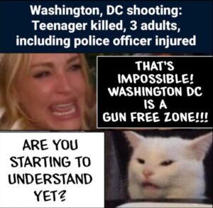 PHOTO Washington DC Shooting That's Impossible DC Is A Gun Free Zone Are You Starting To Understand Meme