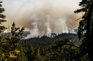 PHOTO Aerial Views Showing How Bad The Smoke Is At The Washburn Fire In Yosemite