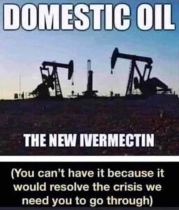 PHOTO Domestic Oil The New Ivermectin You Can't Have It Because It Would Resolve The Crisis We Need You To Go Through Meme