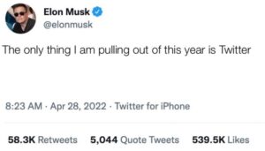 PHOTO Elon Musk Tweeting The Only Thing I'm Pulling Out Of This Year Is Twitter Meme