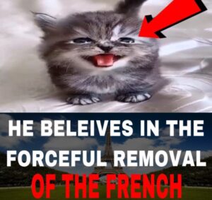 PHOTO He Believes In The Forceful Removal Of The French Meme