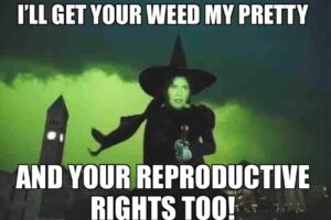 PHOTO I'll Get You Weed My Pretty And Your Reproductive Rights Too Kristi Noem Meme