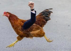 PHOTO Josh Hawley As A Chicken Running Across The Street With His Fist In The Air Meme