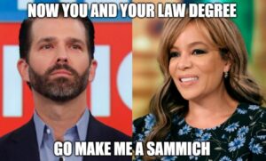 PHOTO Now You And Your Law Degree Go Make Me A Sammich Donald Trump Jr Meme