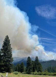 PHOTO Of Washburn Fire From Wawona District