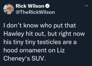 PHOTO Rick Wilson Calling Josh Hawley's Testicles A Hood Ornament On Liz Cheney's SUV