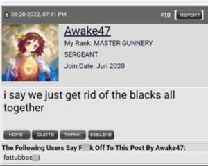 PHOTO Robert Crimo Posted Online On Forum That He Wanted People To Join Him In Getting Rid Of A Black People Together