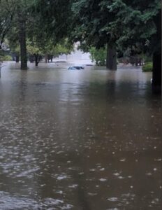 PHOTO Sarah Kendzior Couldn't Leave Her House In St Louis Because Floodwaters Were Up To The First Floor