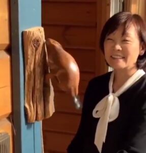 PHOTO Shinzo Abe Has The Coolest Beaver Door Knocker He Got In Canada