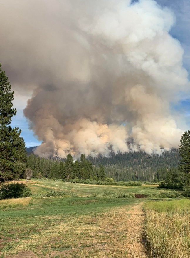 PHOTO View Of Washburn Fire From Wawona Golf Course Shows How Big Fire Is And How Much It's