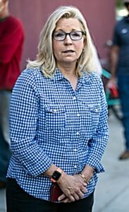 PHOTO Liz Cheney Has No Personal Trainer Stylist Or Makeup Artist And Walks Around In 80 Year Old Checkered Shirts On The Regular