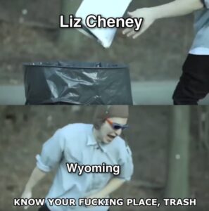PHOTO Liz Cheney Thrown In Trash Wyoming Know Your F*cking Place Trash Meme
