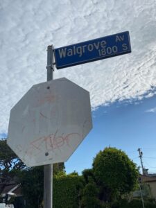 PHOTO Stop Sign Anne Heche Blew Through On Preston Way And Walgrove Is So Old And Faded It Has No Red Paint Left On It